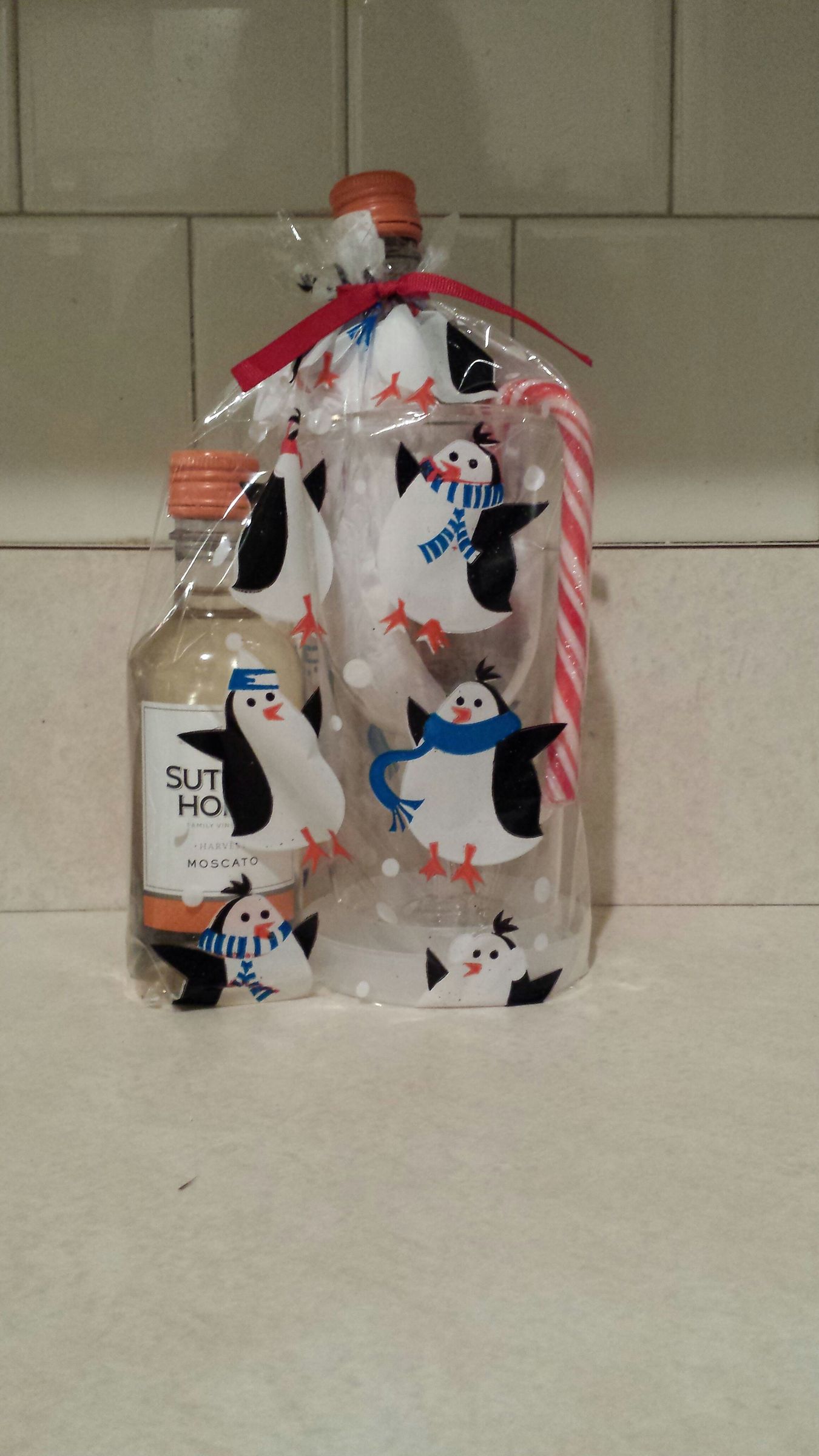 Fun,Easy Inexpensive Wine Gift (21 &over)