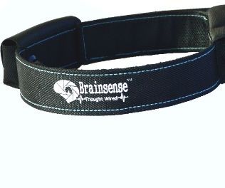 Blink LED Using Your Brainwaves