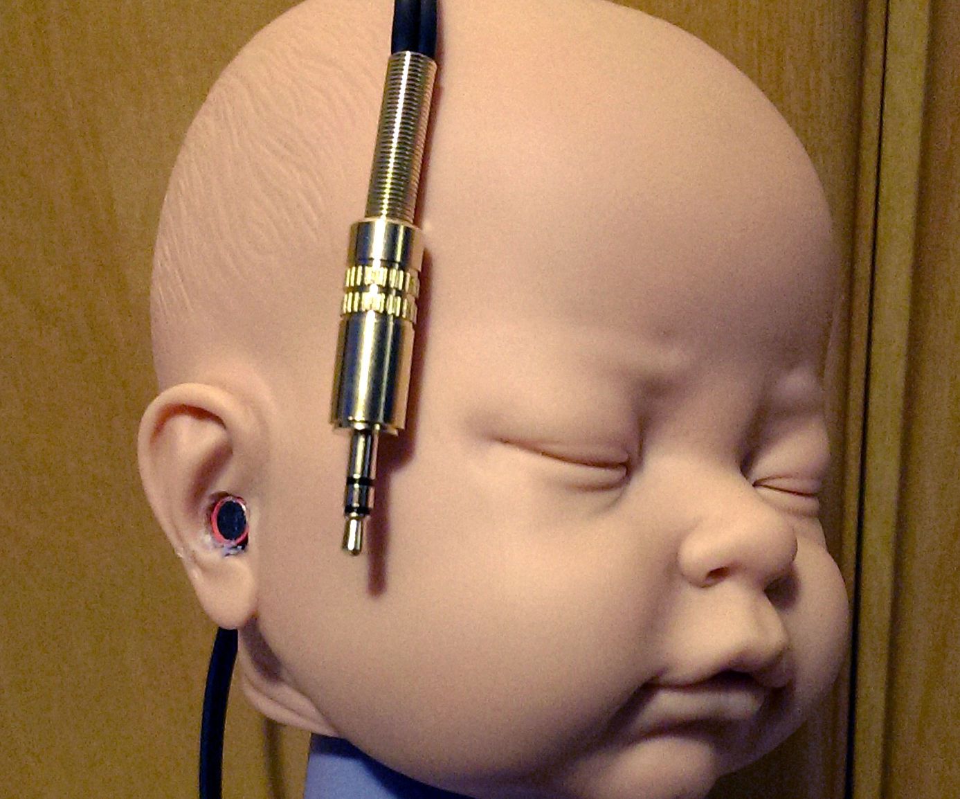 Binaural Dummy Head Microphone