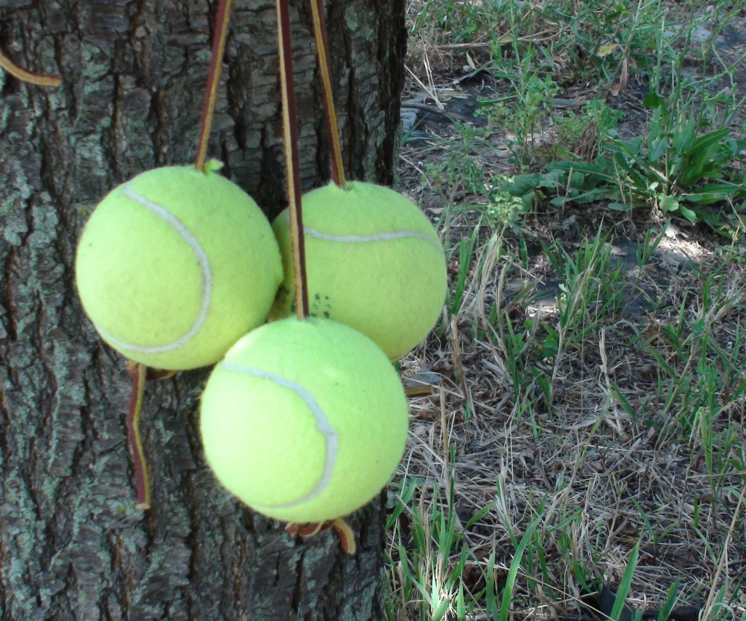 Tennis Archery Target
