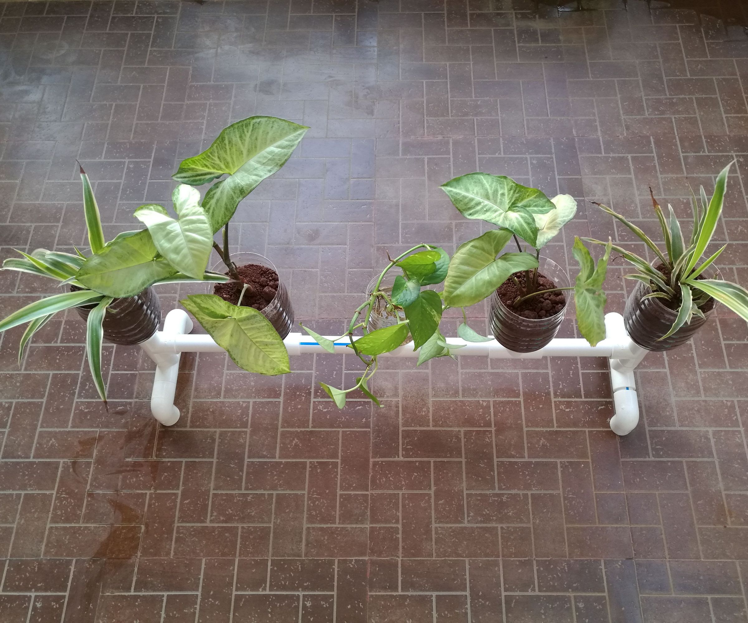 Make a Planter With Self Watering Stand