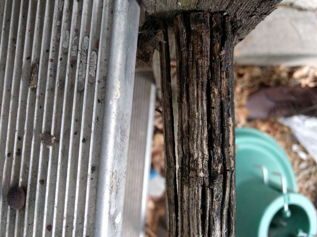 Timber Spring After Splitting Repairing Split Wood : 6 Steps (with Pictures) - Instructables