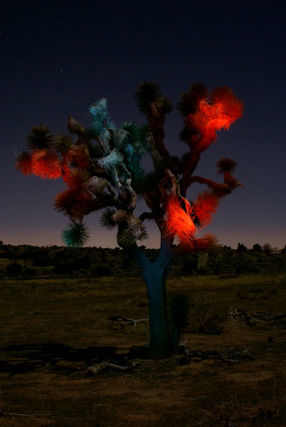 Painting With Light