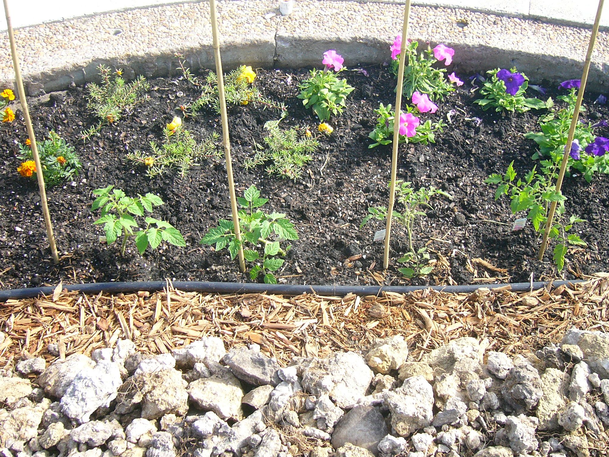 Dirt Garden 14 Steps (with Pictures) Instructables