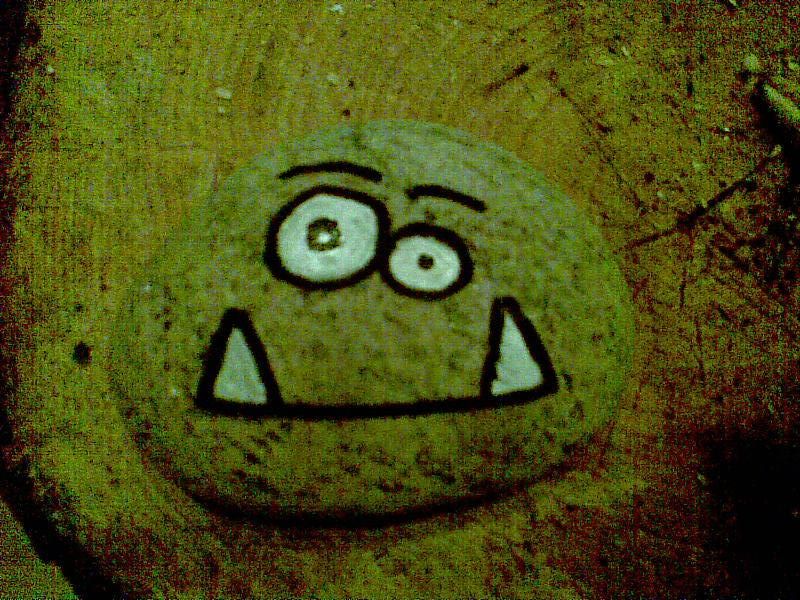 How to Make Your Very Own Pet Rock