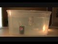 Surprising Pepsi Challenge