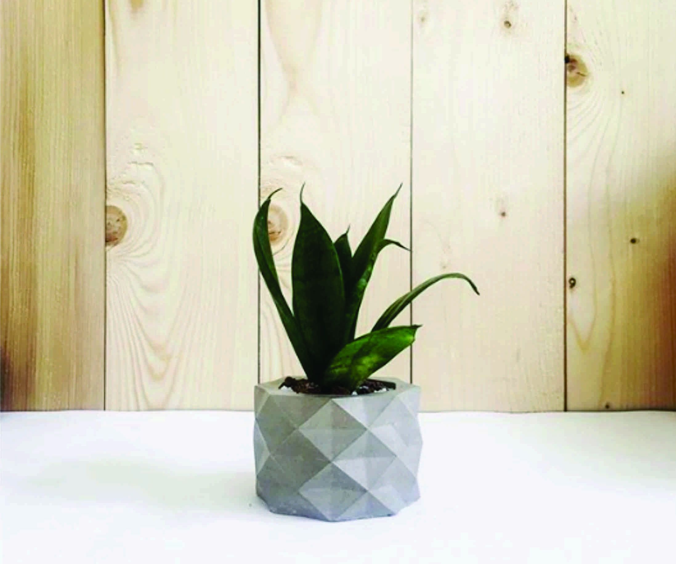 GEO ONE - 3D PRINTED MOLD for CONCRETE PLANTER !