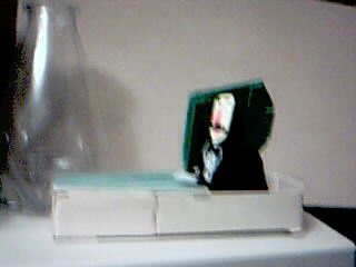 Dracula Does the Weather