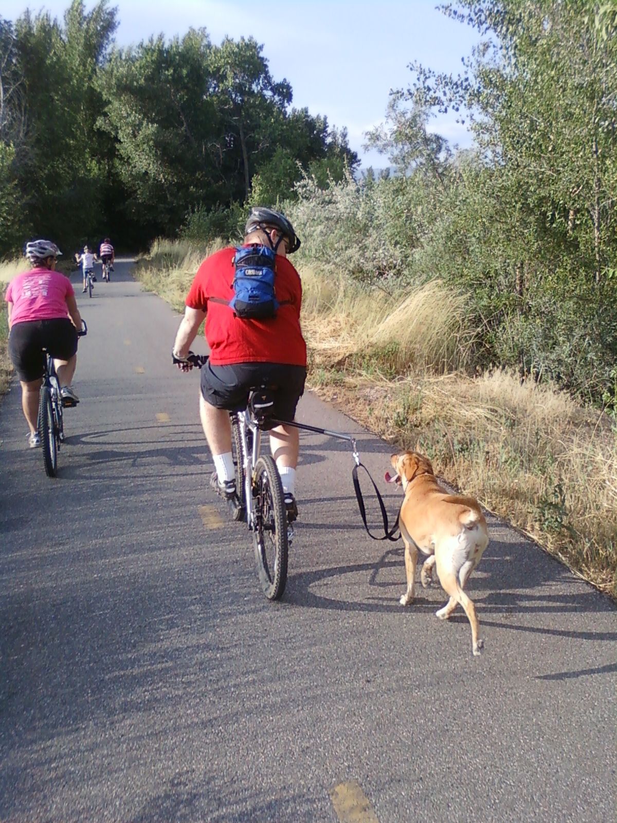 Bike Dog Walker 8 Steps (with Pictures) Instructables