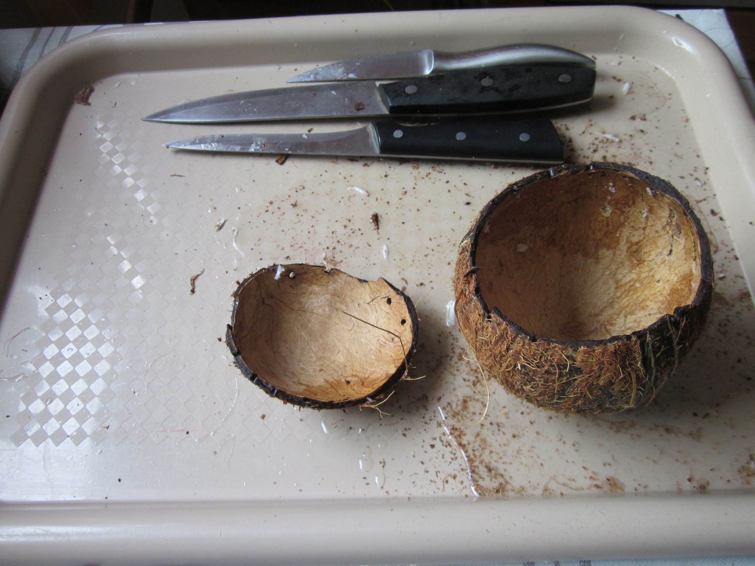 Coconut Planter 8 Steps (with Pictures) Instructables