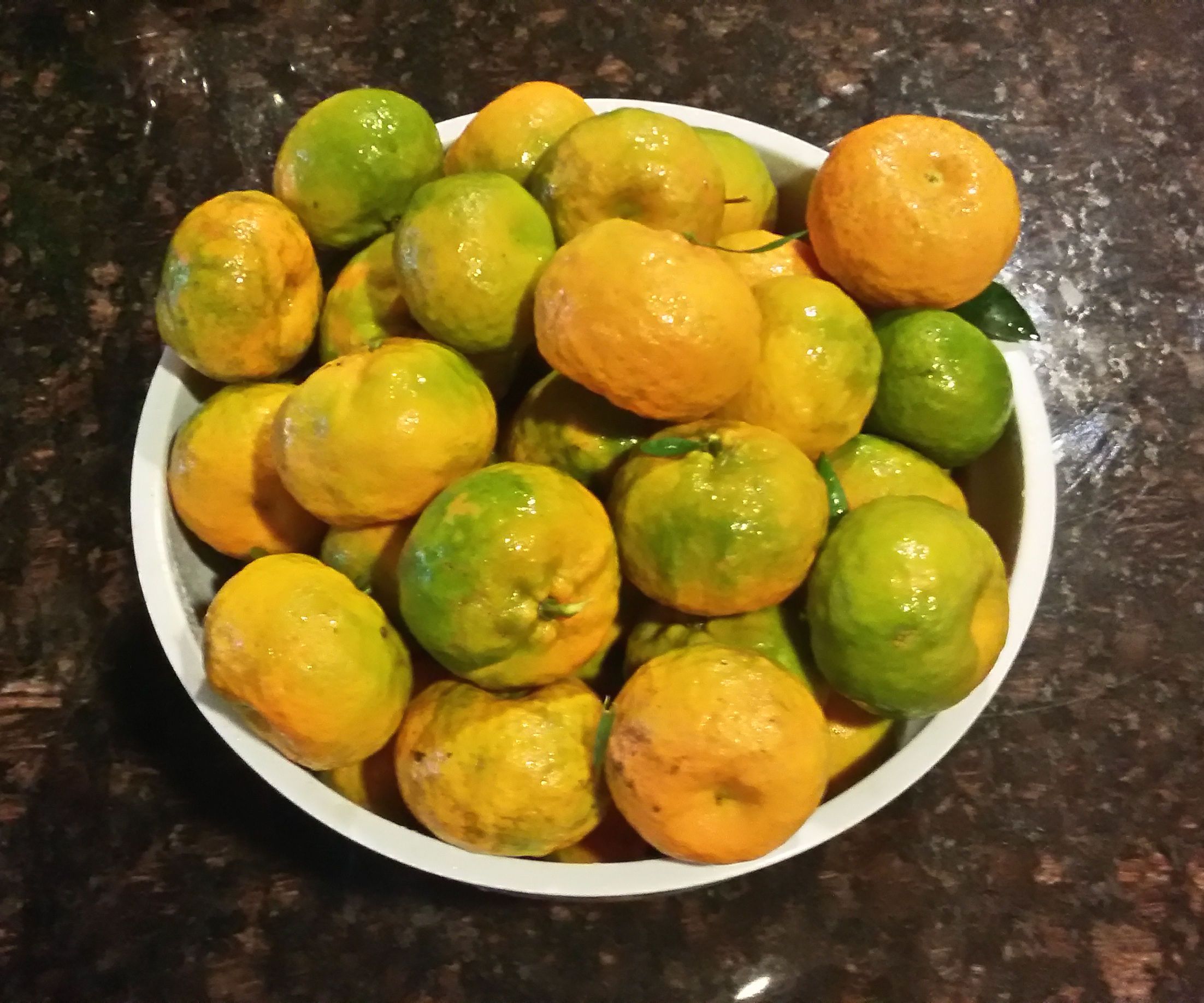 Grow a Tangerine Tree From a Cutting