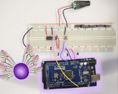 Connect the Arduino