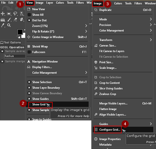 Chapter 1 Setup: the Grid