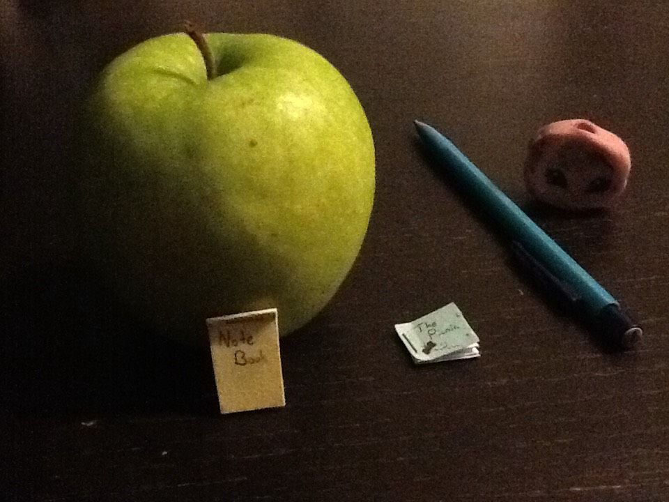 How To Make A Tiny Book For Your Toys