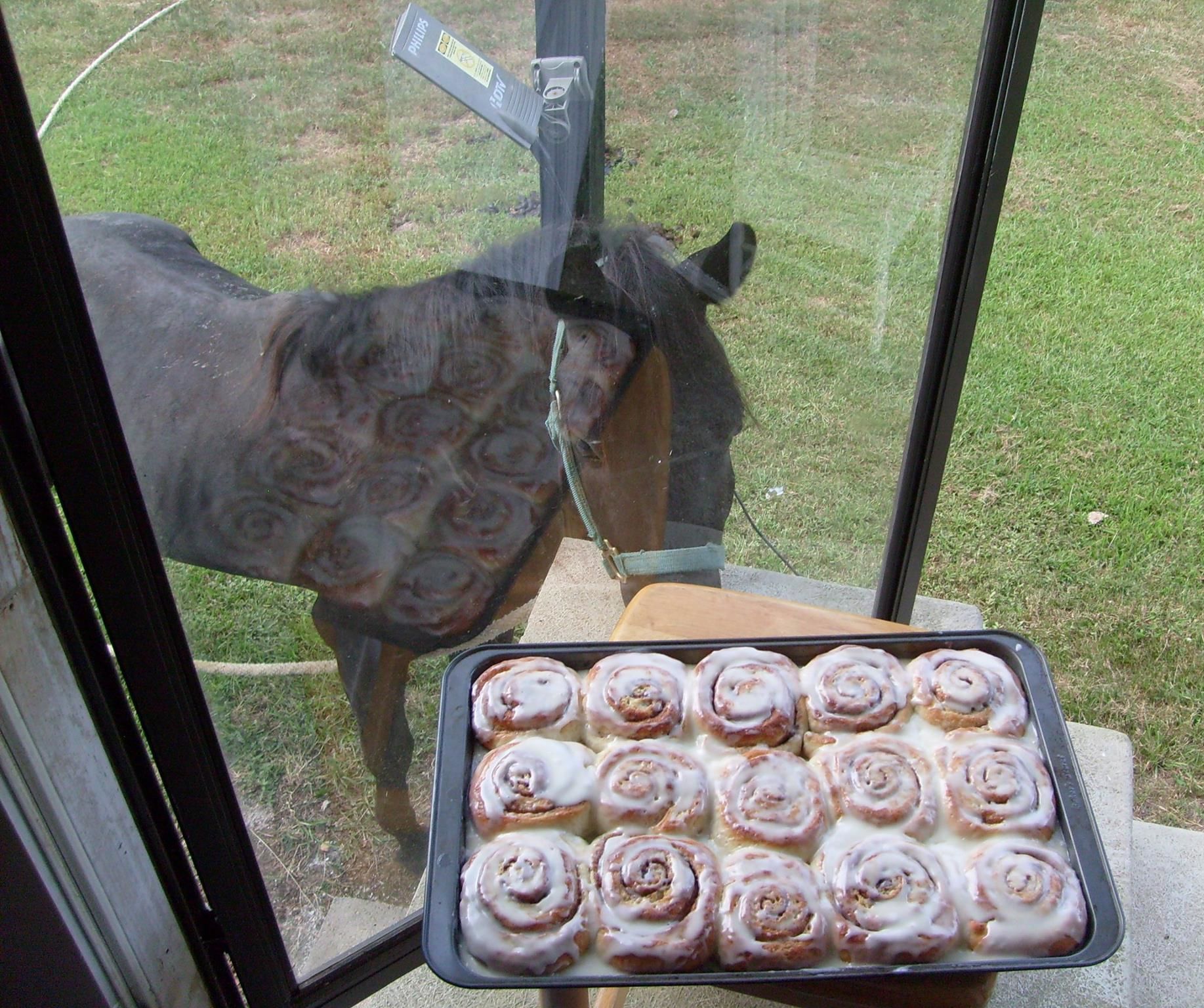Spudnut Cinnamon Rolls and Coffee, Breakfast of Real People 