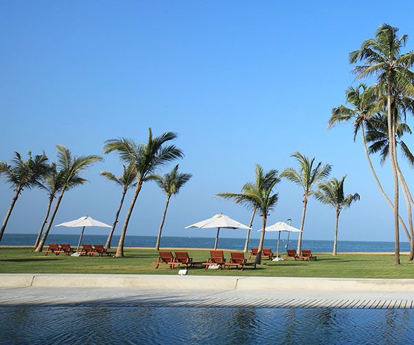 How to Plan an Affordable Beach Wedding