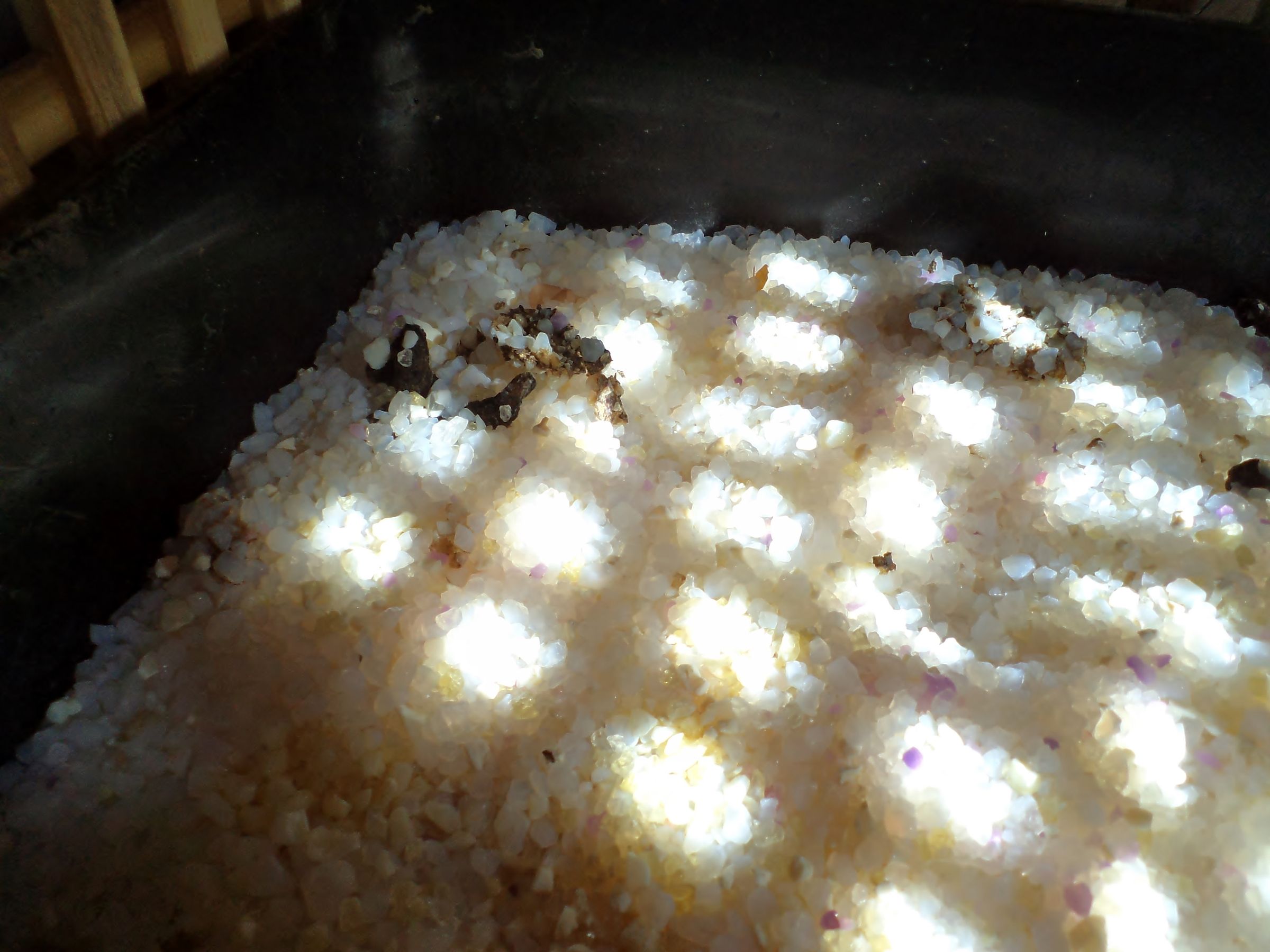 Elegant Ikea Hack Litterbox : 3 Steps (with Pictures) - Instructables