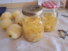 Peels Infusion and Sugar Syrup