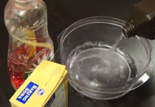 How To Remove Stink Bugs Odor