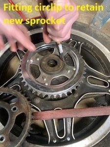 Chain & Sprocket