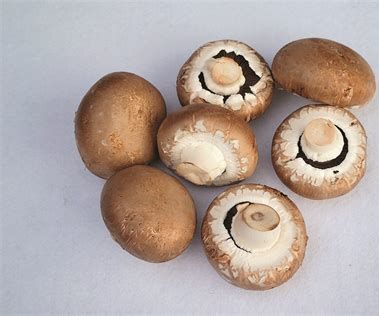 Making Mushrooms Last (Duxelles)