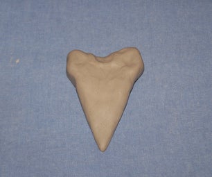 Shark Tooth