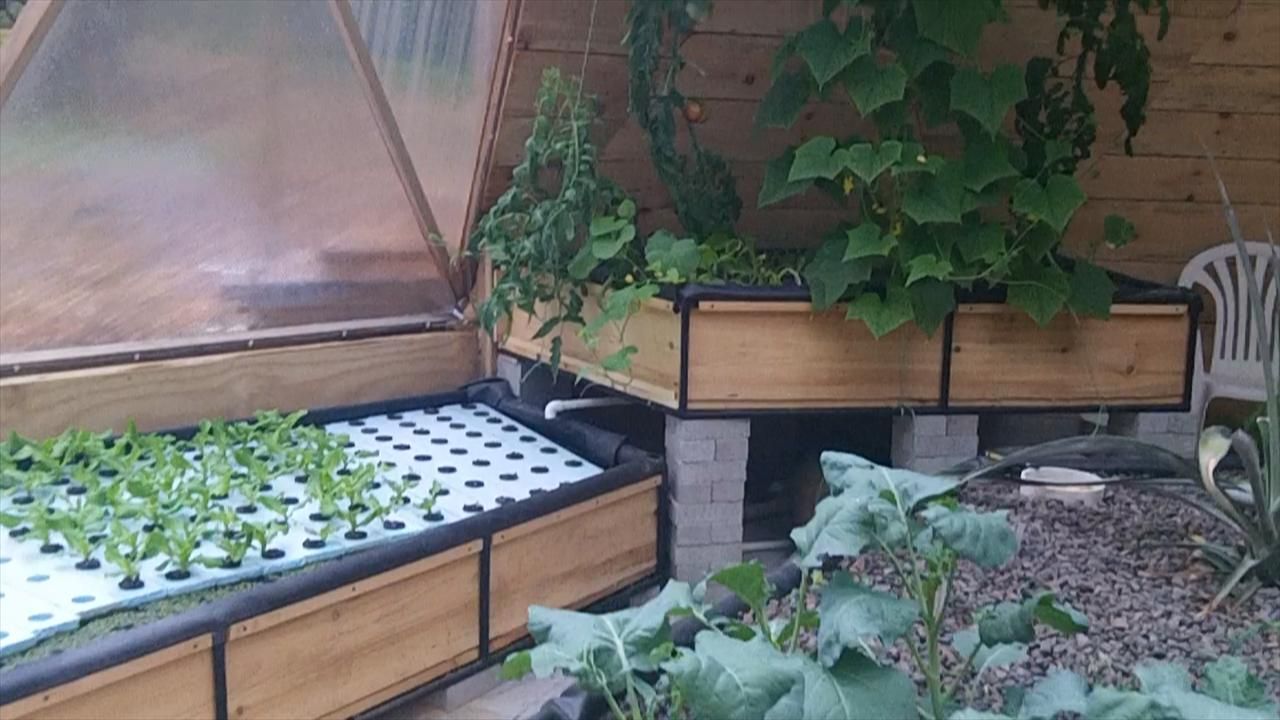 Building the Aquaponic System - Part 2 of 3