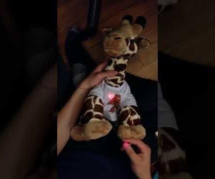 Heartbeat Plushie