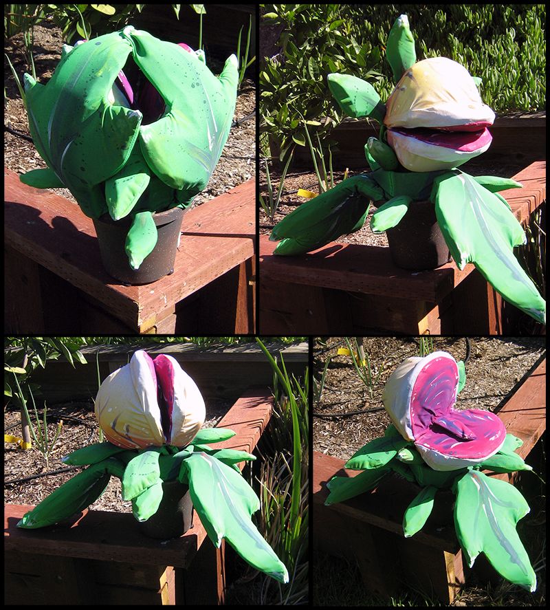 Building Audrey II Phase 1