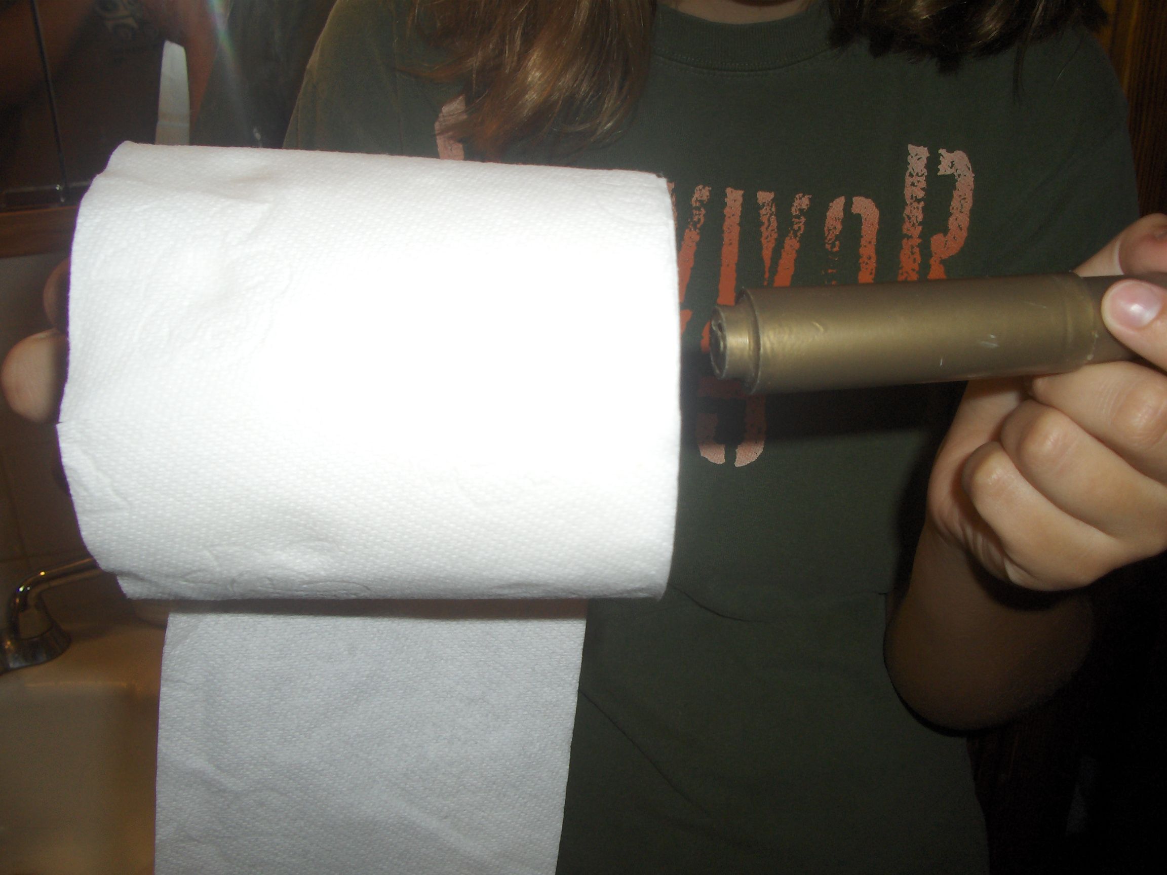 How to Change the Toilet Paper Roll 6 Steps Instructables