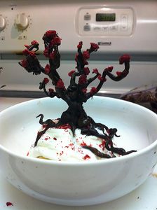 Chocolate Raspberry Tree