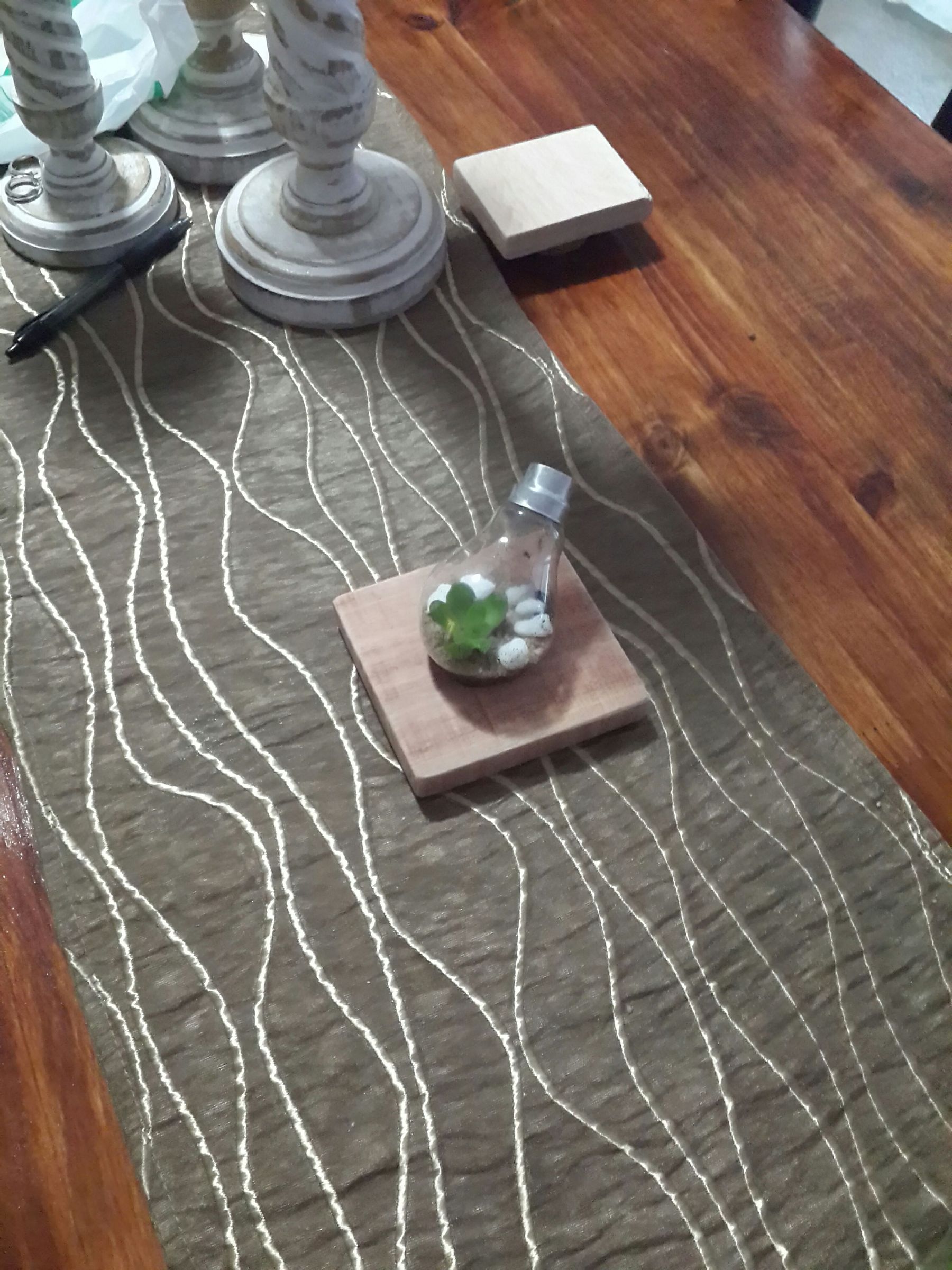 Light Bulb - Terrarium 