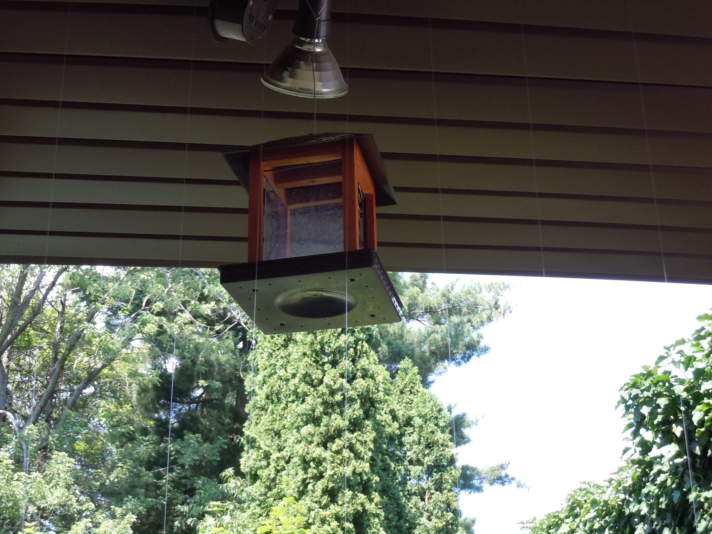 Squirrel Deterrent for Bird Feeder