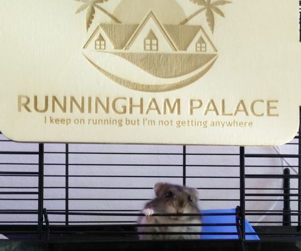 Running Ham Palace V2