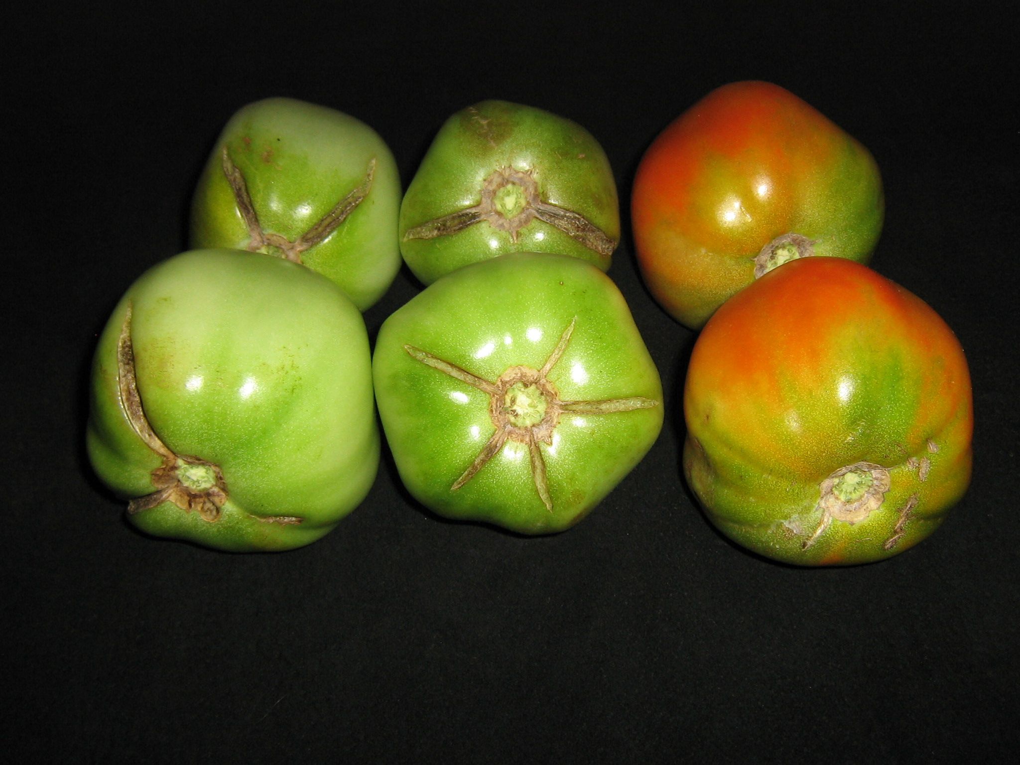 Awesome Fried Green Tomatoes