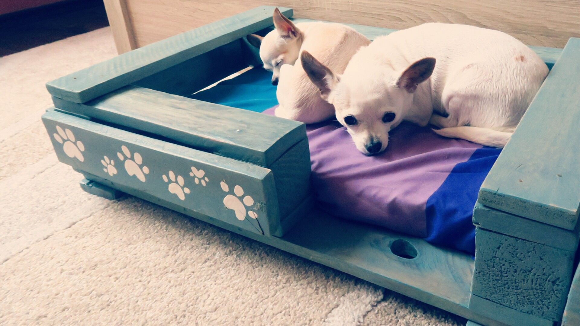 Pet Bed From Pallet – VIDEO - Image 1