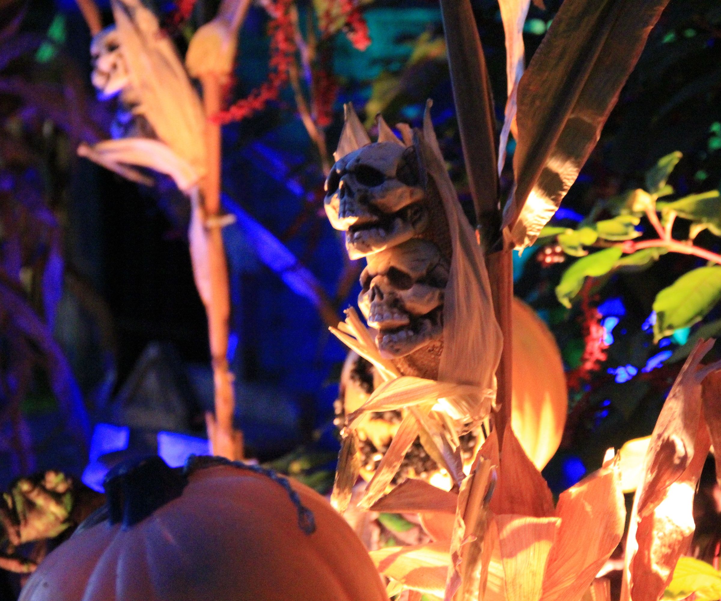 Skull Cobs