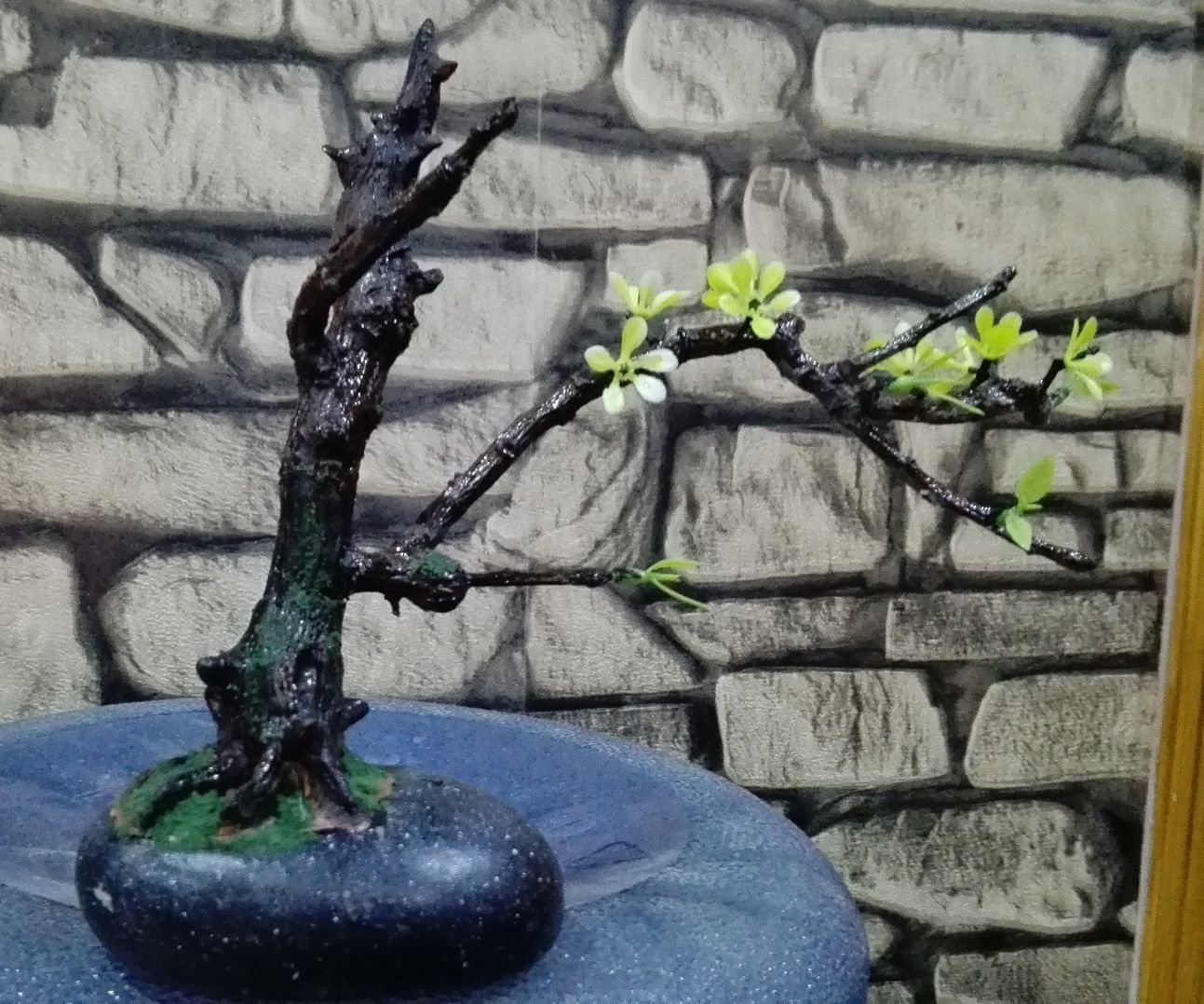 How to Make Mini Bonsai Tree