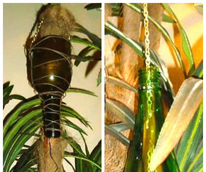 In the Jungle-candle holder
