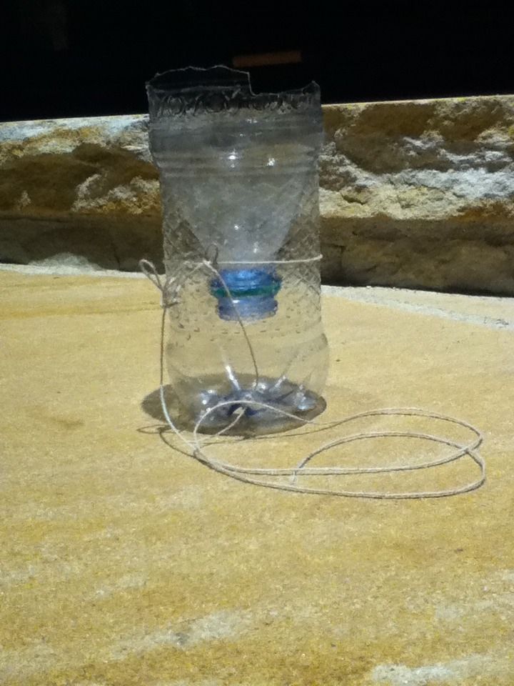 Soda Bottle Fish Trap