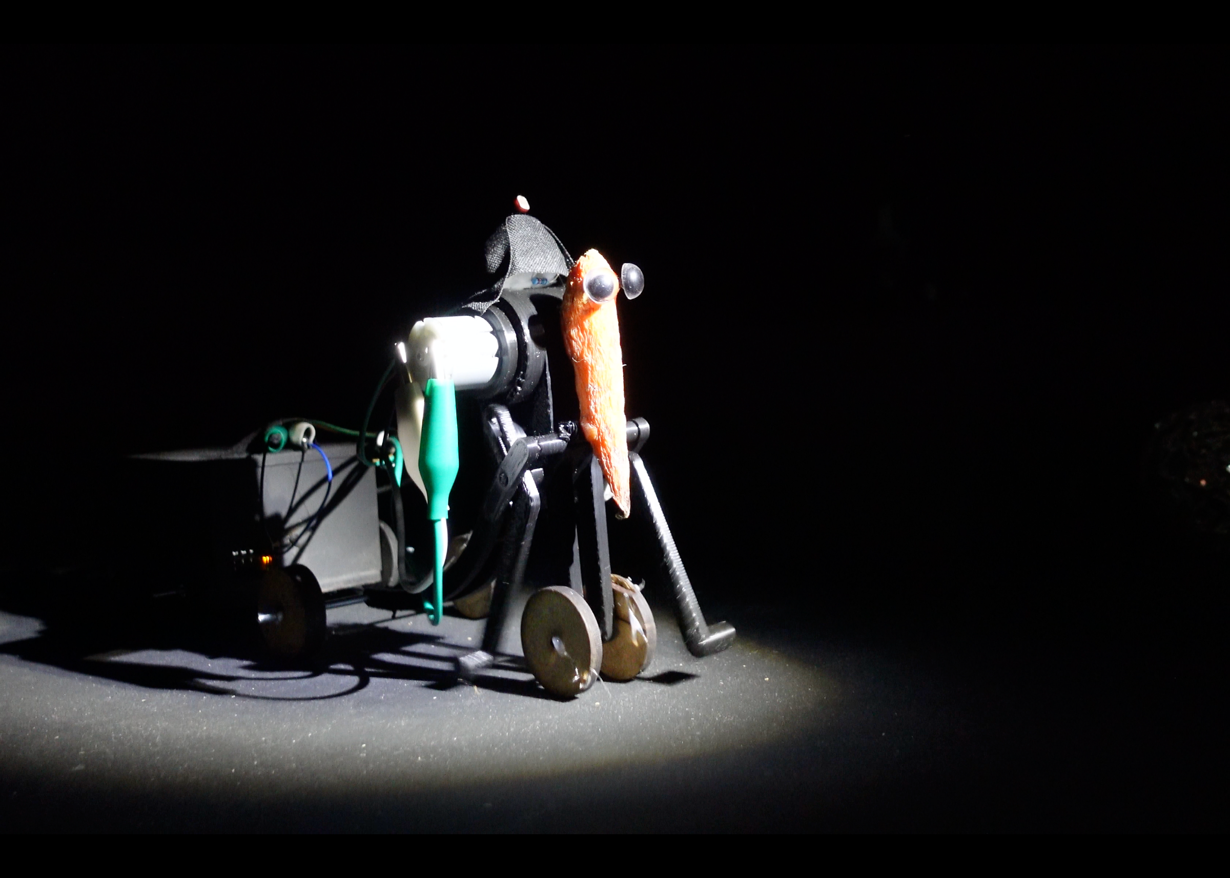 Escarrot and Disco Carrot