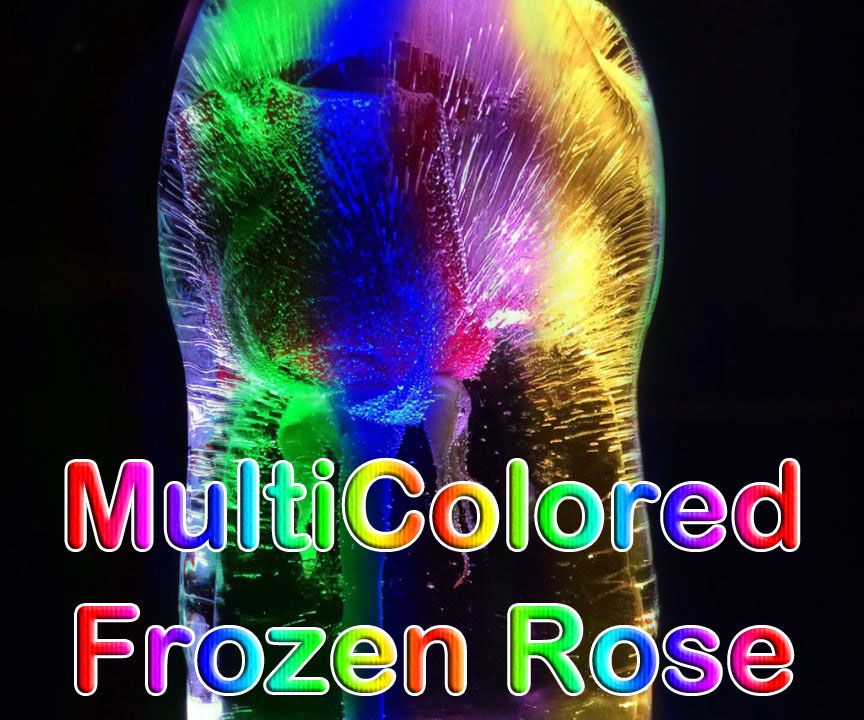 Multicolored Frozen Rose LED Light