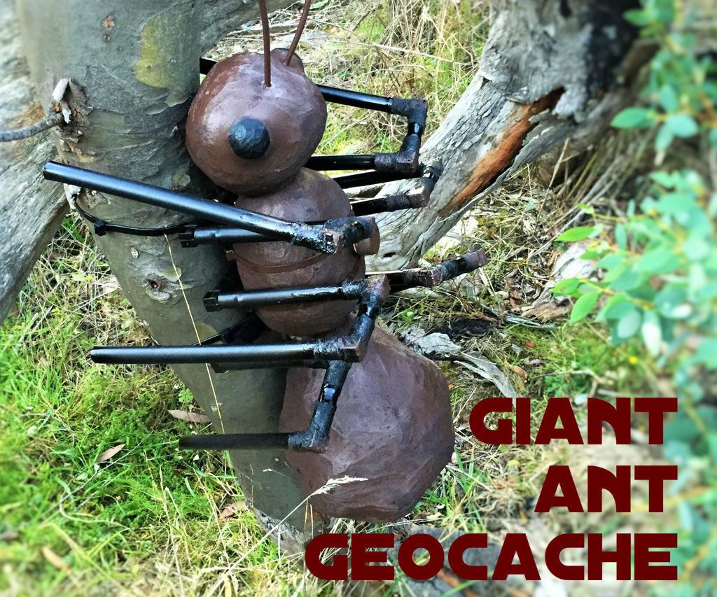 Giant Ant Geocache