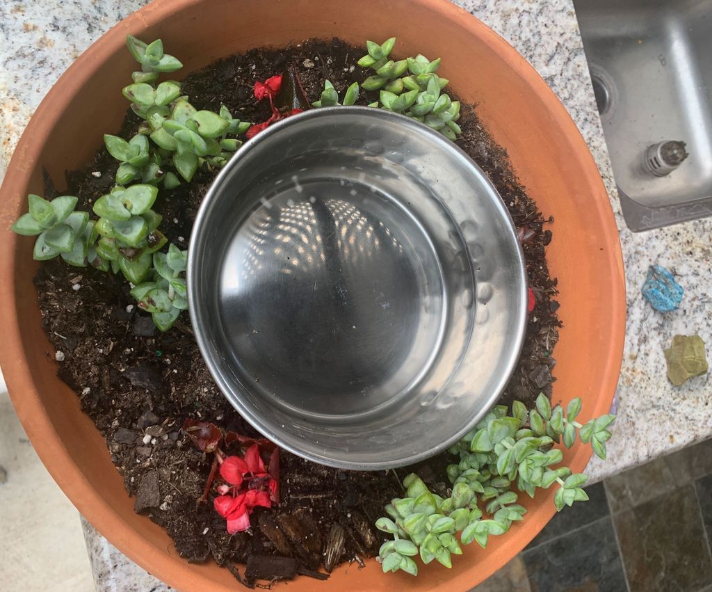 No Mess Dog Water Bowl Instructables