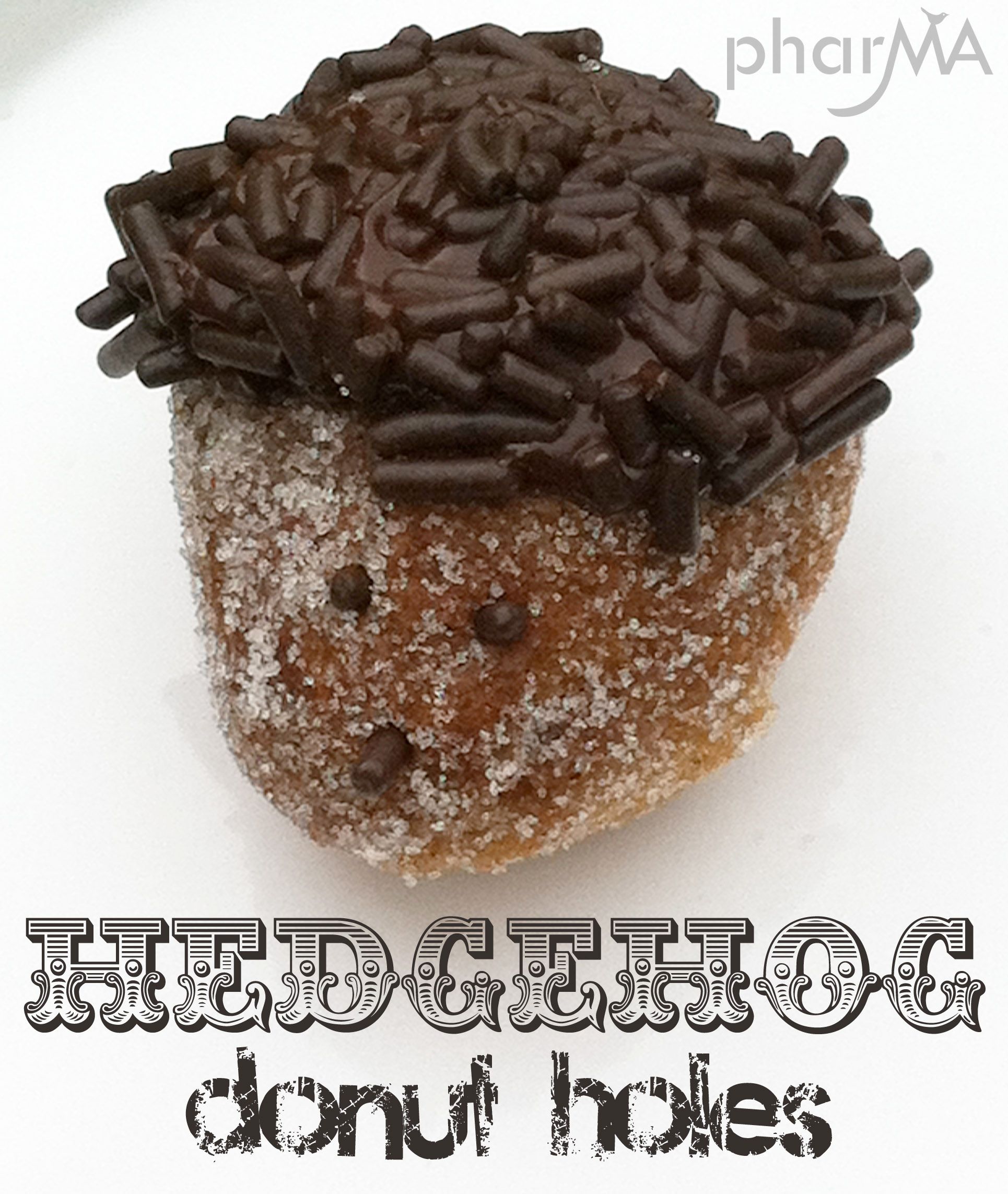 Hedgehog Donut Holes