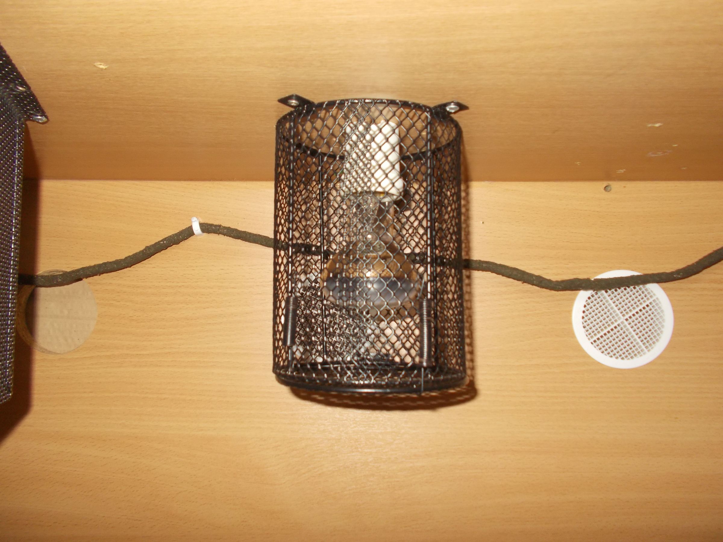 How to Setup a Snake Viv 13 Steps Instructables