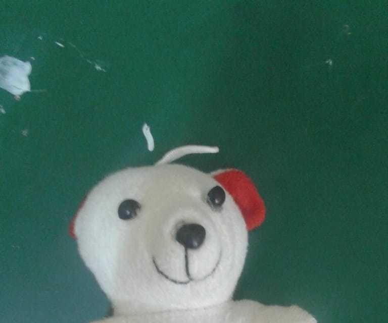 Hiding Valuables With Stuffed Toys