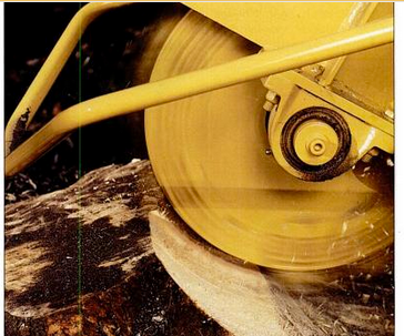 How to Clear Tree Stumps