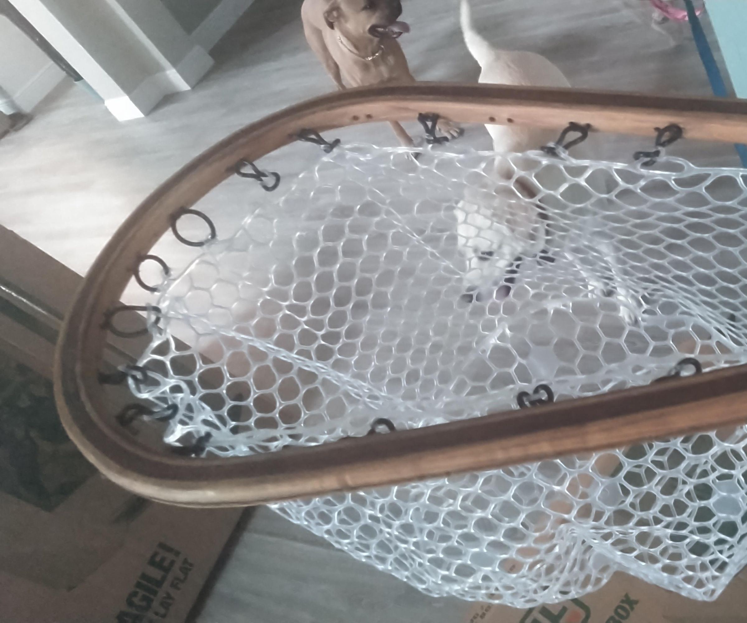 Bent Wood Boat Net