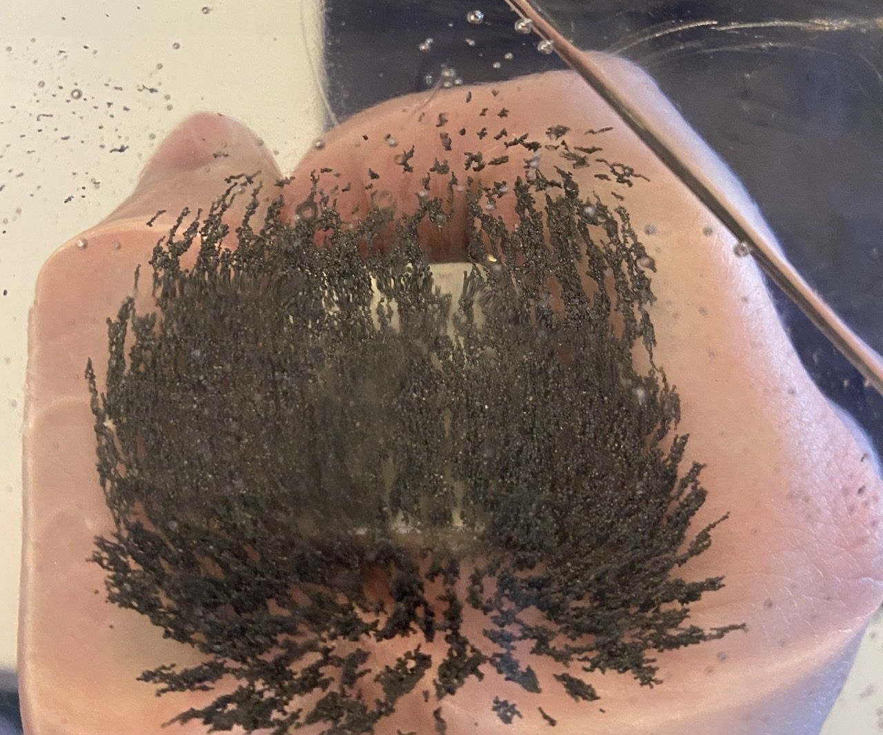 How to Make a Magnetic Field Viewer